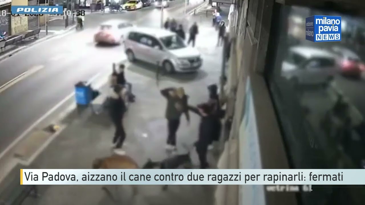Via Padova, aizzano il cane contro due ragazzi per rapinarli: fermati