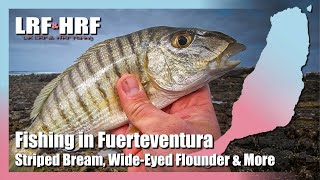 Fishing in Fuerteventura - Striped Bream, Wide-Eyed Flounder & Much More In Caleta De Fuste