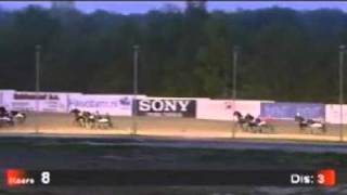 Staro Foot Loose - Arnold Mollema / Victoria Park Driejarigen H\u0026R Stakes