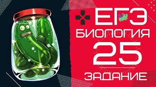 ЕГЭ биология 2020 Задание 25 Рохлов разбор | БиоХак