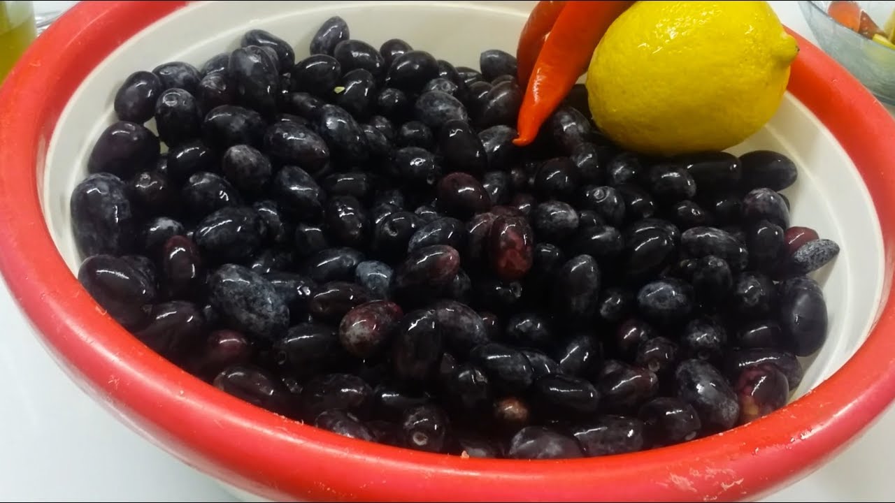 كيفية كبس الزيتون الأسود الطريقة اللبنانية Pickling Black Olives