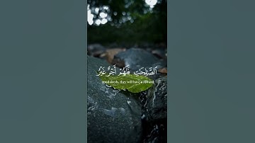 سورة التين | الشيخ ماهر المعيقلي #quran #قران_كريم #راحة_نفسية #ماهر_المعيقلي