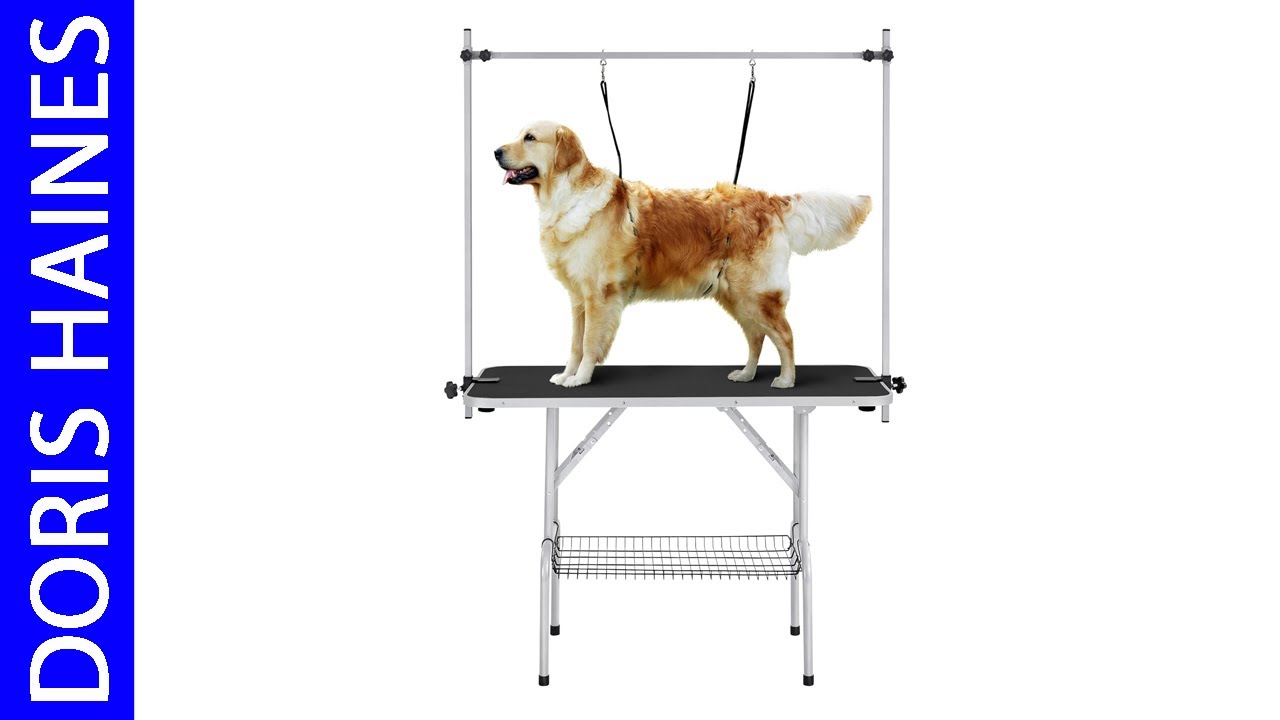 Best Dog Grooming Tables 2026 - Top 5