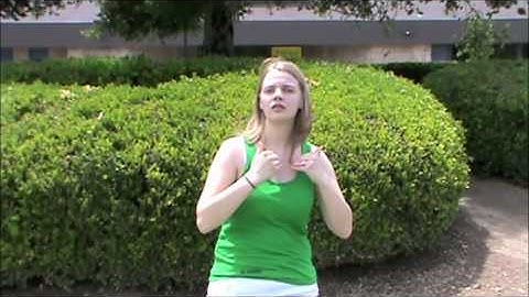 ASL 2 Video Project: More Than It Seems MV