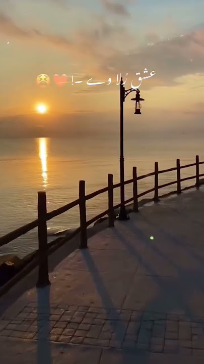 iqtidar -ost ⚘️♥️ #love #aestheic #song #music #lyrics #hindisong #crew #kdrama #bollywood #lovesong