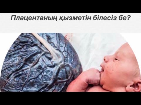 Бейне: Плацентаның инкапсуляциясы шынымен жұмыс істей ме?