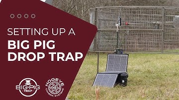 Big Pig Drop Trap Assembly
