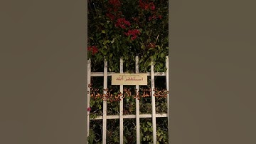 آيه من آيات سوره الاعراف : نبيل العوضي ♡