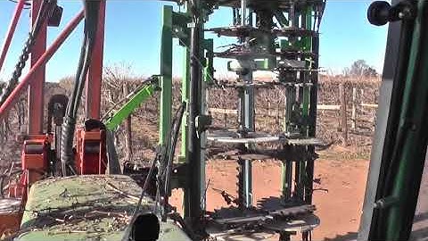 mechanical pruning grape vines 2