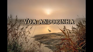 Video thumbnail of "HINO AVULSO CCB - VOA ANDORINHA (GÊMEAS CCB)"