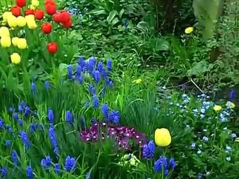 Flowers in our English cottage garden in Spring 2009 set to music (Part