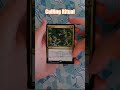Collecting all STX Mystical Archive Cards! Pack 28 #mtg #magicthegathering #packopening