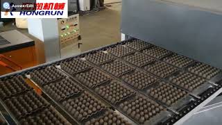 4000PCS/H PAPER EGG TRAY PRODUCTION LINE FOR IRAQ