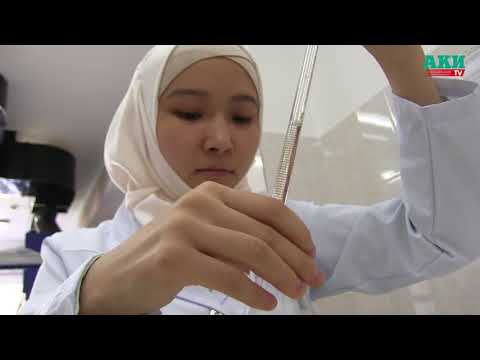 Нурлан Дуйшеналиев Первый заместитель ген директора ДЛОиМТ