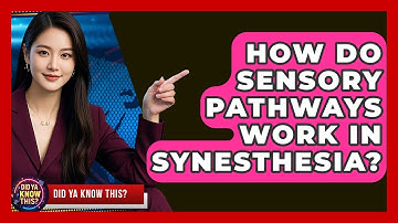 How Do Sensory Pathways Work In Synesthesia? - Did Ya Know This