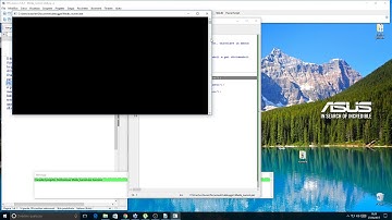 Il debugging in Pascal