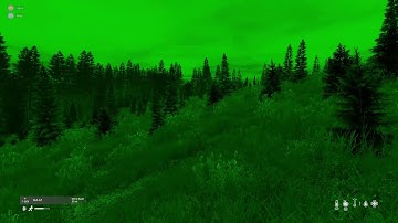 DayZ - Killed by lightning?