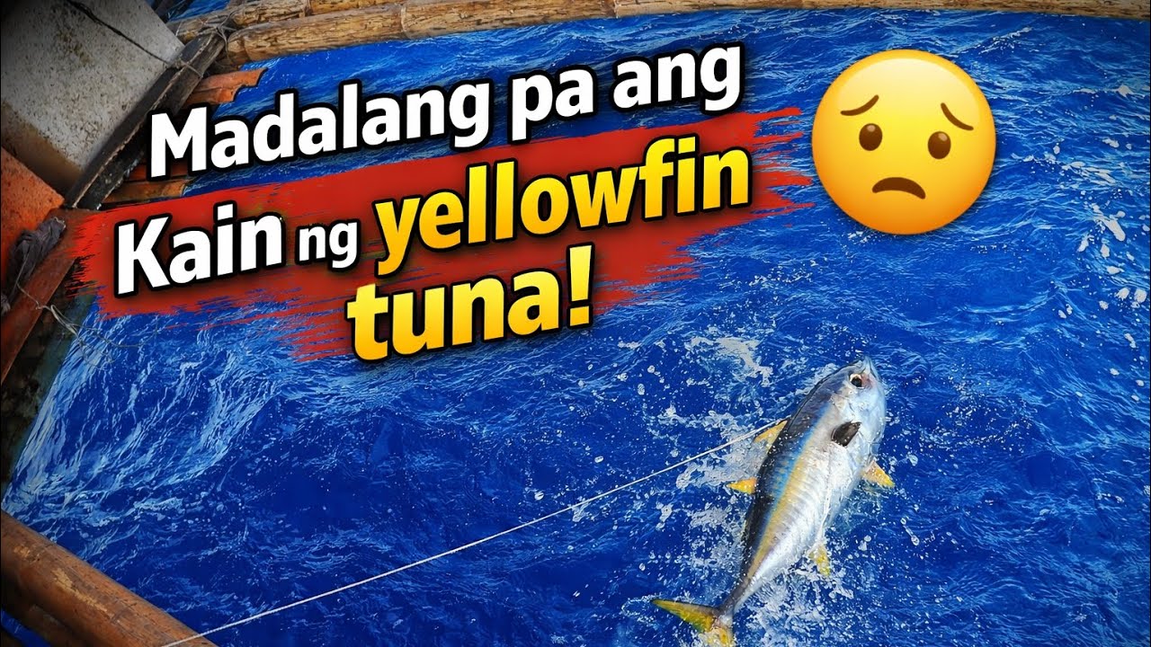Madalang pa ang kain ng yellowfin tuna! | Ep.24 P-6