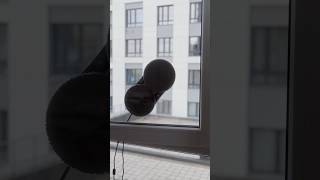 Робот мойщик окон Polaris PRWC 3001 Wi-Fi IQ Home. Почему важно заботиться о чистоте окон. #polaris