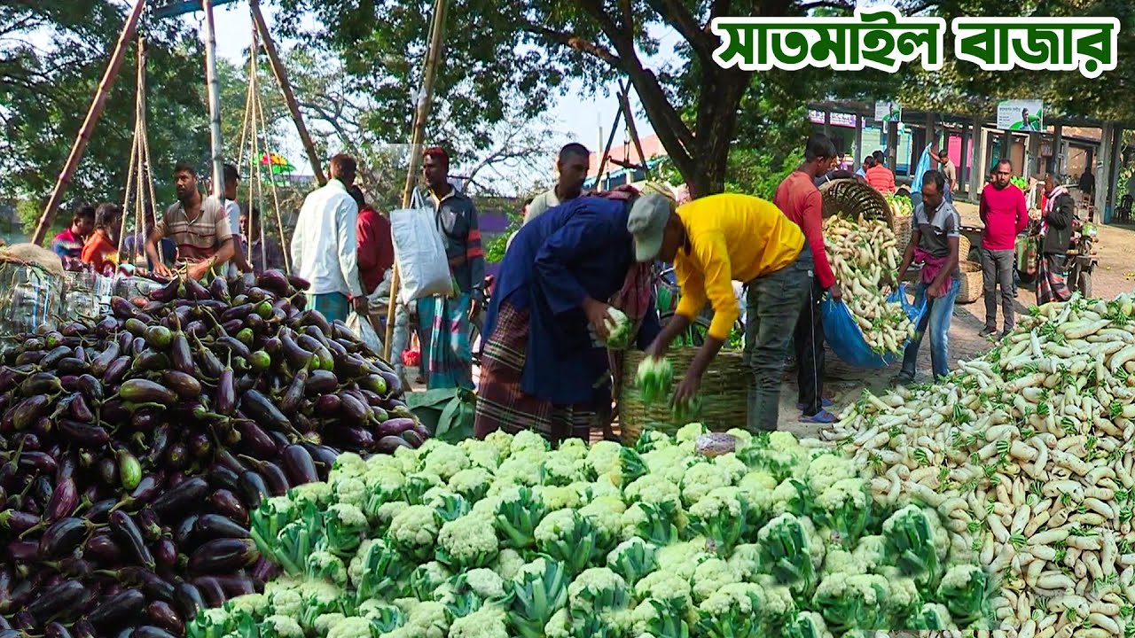 সবজি নিয়ে হুলস্থুল কাণ্ড যশোরের সাতমাইল বাজারে || Panorama Documentary