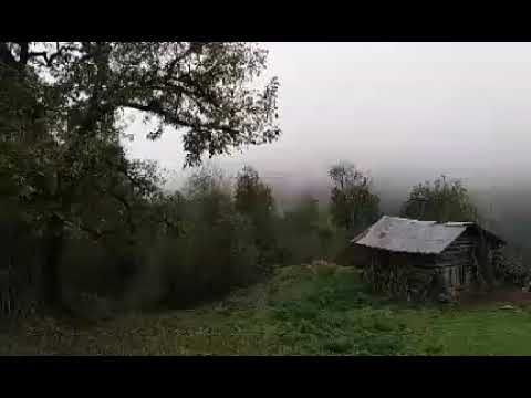 نرم نرم وارش مازندران