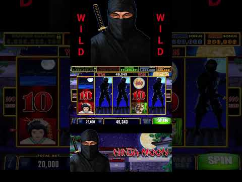 real prize casino promo code,rolletto casino promo code,rivers casino promo code