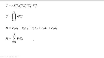 Cobb-Douglas Utility Maximization with 5 Goods
