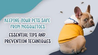 Keeping Your Pets Safe from Mosquitoes: Essential Tips and Prevention Techniques by Ask Dr. Sammy 15 views 9 months ago 2 minutes, 54 seconds