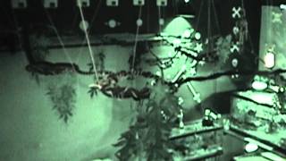 Python on a Full Jungle Hunt  NIGHT VISION