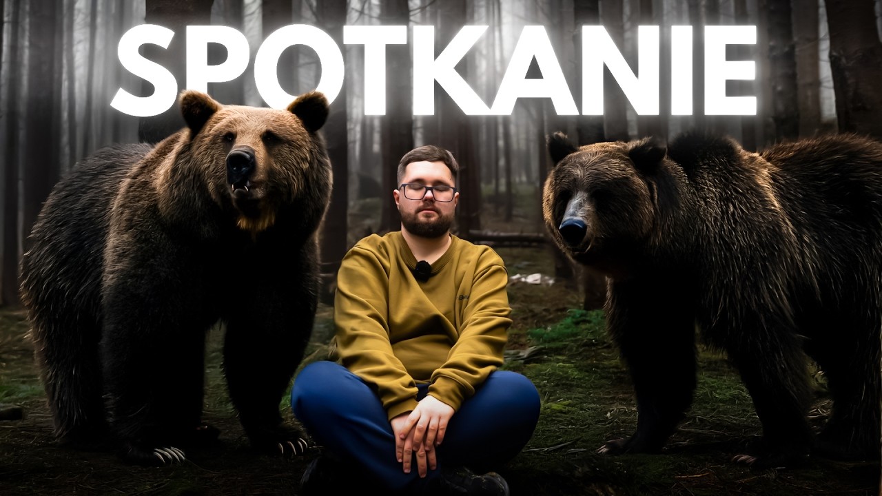 RUMUNIA SPOTKANIE Z NIEDŹWIEDZIAMI