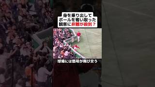 身を乗り出してボールを奪い取った観客に非難が殺到？ #shorts #野球 #プロ野球 #野球ネタ #広島東洋カープ #新井監督 #ブチギレ #巨人 #守備妨害