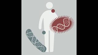 CBW/CS-DCC Microbiome Analysis 2026 | 4: Metagenomic Assembly and Binning News