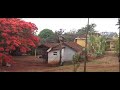 passeando com vocês  casa antiga árvores flores tatu Fazenda Catingueiro