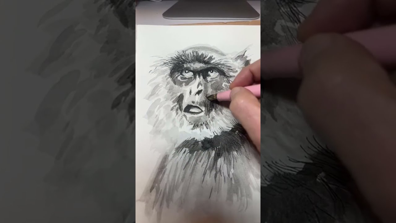 Angela Zanolari is live!