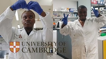 One scientist, two Cambridge Uni labs