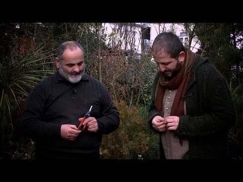 ეთნოფორი • etnopori (გადაცემა მეთერთმეტე) 21.01.2015წ.