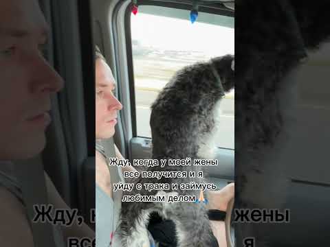 Надежда умирает последней😂#сша #трак #жизньвсша #бокстрак #дальнобой #работавсша #семья #муж #жена