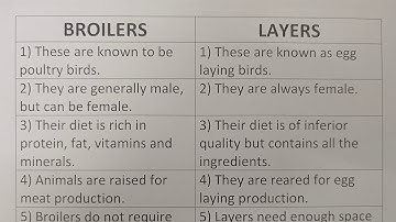 Difference Between Broilers And Layers?-Class Series