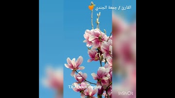 القارئ /جمعة الجندي 🧡