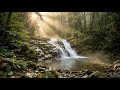 Peaceful River Nature Instrumental 🌿 Calm Relaxing Music for Focus, Meditation &amp; Quiet Moments