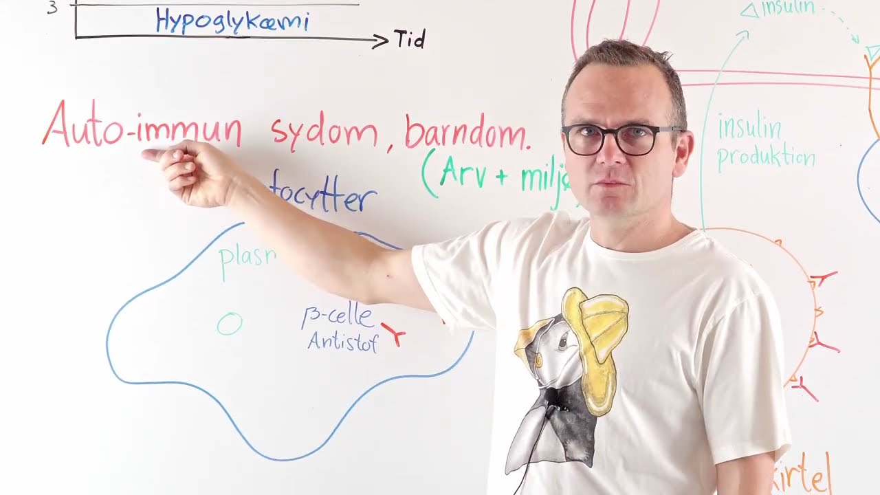 Type 1 diabetes forklaret.