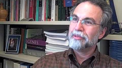 Gregg Semenza of Johns Hopkins Medicine on HIF 1