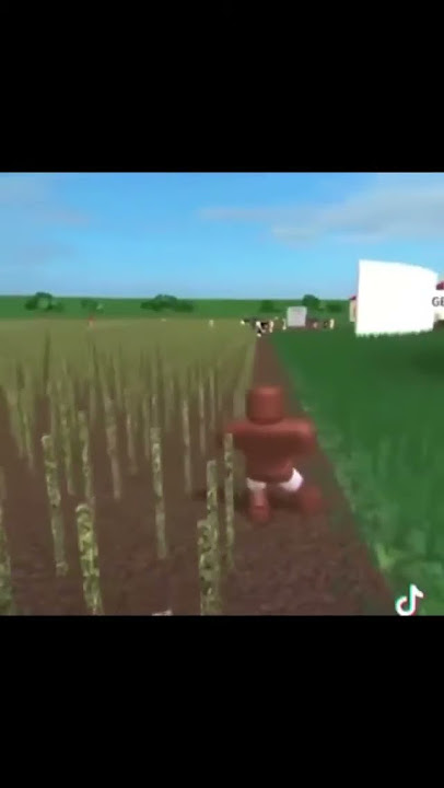 roblox slave meme