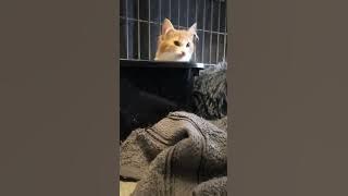 464111145 7331901893601041 8585269987189835178 n