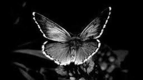 حالات واتساب دينيه//بصوت القارئ خالد الجليل//مقاطع قصيره//👇👇