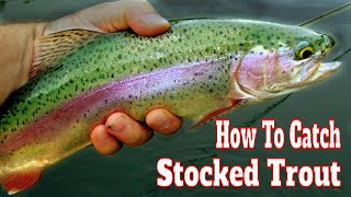 How to Catch Stocked Trout In A Lake & Pond W/ Powerbait: Stocked Rainbow Trout  Fishing Tips