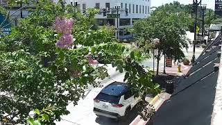 LIVE Downtown DeLand | South Woodland Blvd | 2026-08-17 11 AM ET