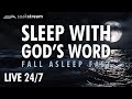 Live 24/7 Bible Reading for Sleep & Peace ✨