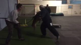 Zeke control and bite work