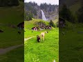 طبیعت زیبا سوئیس The Beautiful Of Nature Swiss 